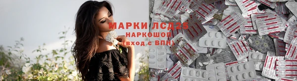 ГАЛЛЮЦИНОГЕННЫЕ ГРИБЫ Лиски