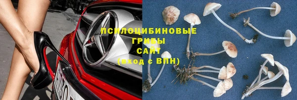 ГАЛЛЮЦИНОГЕННЫЕ ГРИБЫ Лиски