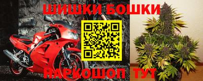 ПСИЛОЦИБИНОВЫЕ ГРИБЫ Аргун