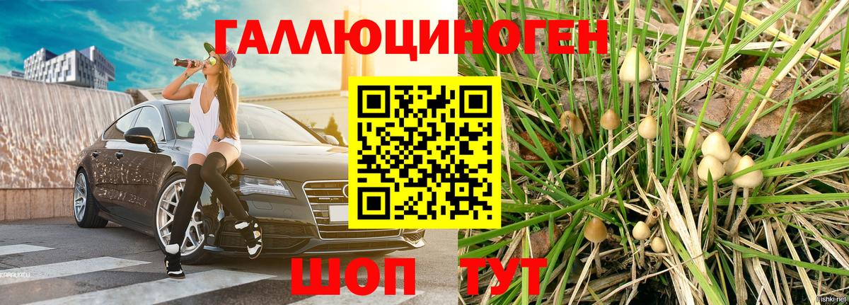 закладки  Псилоцибиновые грибы прущие грибы  Вход с VPN  Маркс 