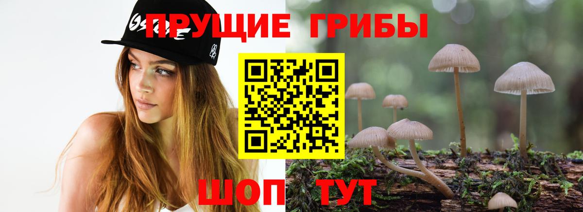 Псилоцибиновые грибы Magic Shrooms Маркс